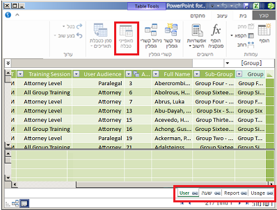 חלון PowerPivot בכרטיסיות