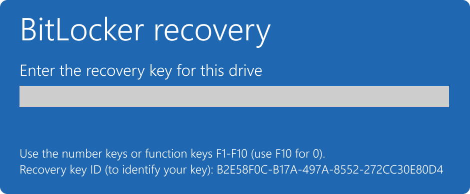 צילום מסך של מסך השחזור של BitLocker.