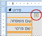 בורר פריסות בטופס בתצוגת עיצוב