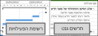 מרכז הפרוייקטים מציג רשימה של פעילויות ותרשים גנט