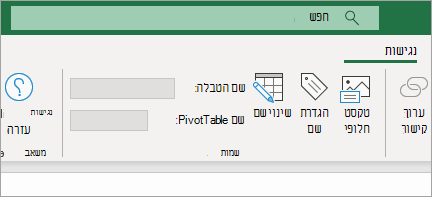 הצגת רצועת הכלים של הנגישות