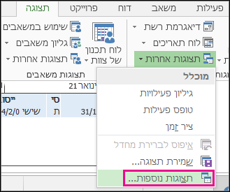 תצוגות נוספות בתפריט 'תצוגות אחרות'