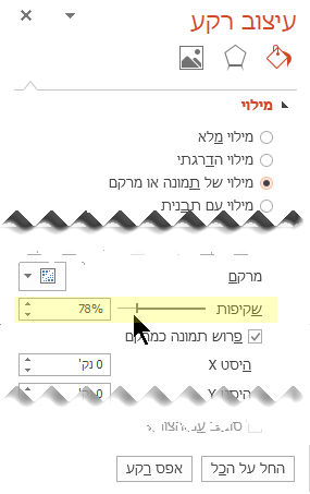 גרור את סרגל השקיפות כדי לכוונן את התמונה