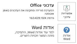 כאשר Office הותקן באמצעות טכנולוגיית 'לחץ והפעל', פרטי היישום והעדכון נראים כך.