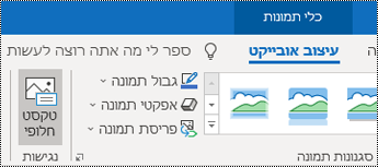 לחצן 'טקסט חלופי' ברצועת הכלים של Outlook עבור Windows.