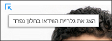 צילום מסך של 'הוצא את גלריית הווידאו'