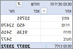 דוח PivotTable לדוגמה