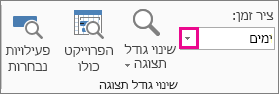 התיבה 'ציר זמן' בכרטיסיה 'תצוגה'