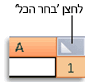 לחצן 'בחר הכל'