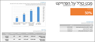 הדוח 'מבט כולל על הפרוייקט'