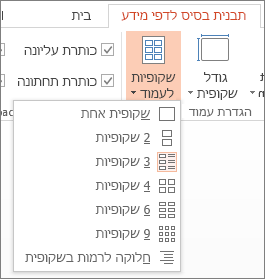 אפשרויות 'שקופיות בעמוד'