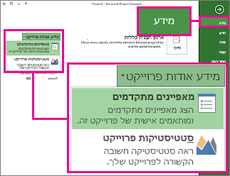 תפריט 'מידע אודות פרוייקט' כאשר האפשרות 'מאפיינים מתקדמים' מודגשת