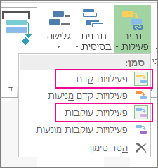 תמונה של סימון פעילות בנתיבי פעילות