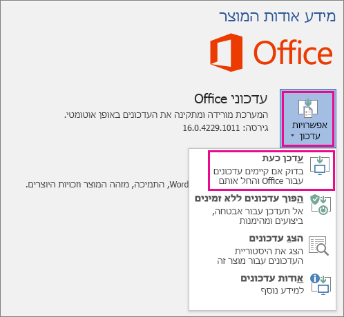 בדיקה ידנית של עדכוני Office ב- Word 2016