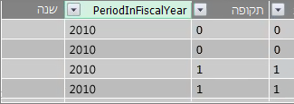 העמודה Period Fiscal Year