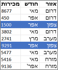 דוגמה לנתוני מקור של PivotTable