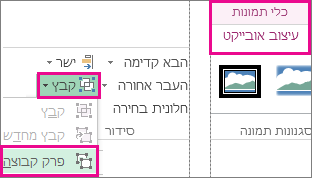 לחצן 'פרק קבוצה' בכרטיסיה 'כלי תמונות'