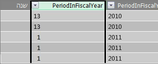 העמודה Period in Fiscal Year