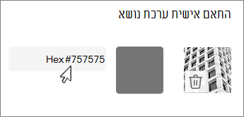 עריכת צבע כצילום מסך של ערך הקסדתי