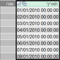 העמודה Date ב- Power Pivot