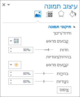 אפשרויות תיקוני תמונה בחלונית המשימות 'עיצוב תמונה'