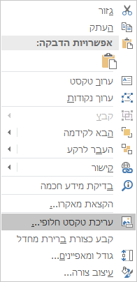 תפריט 'עריכת טקסט חלופי' לצורות ב- Excel עבור Win32