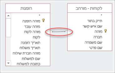 צילום מסך של צירוף בין שתי טבלאות