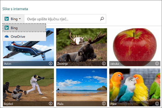 Snimka zaslona na kojoj se prikazuje prozor Umetanje slika za slike s interneta.