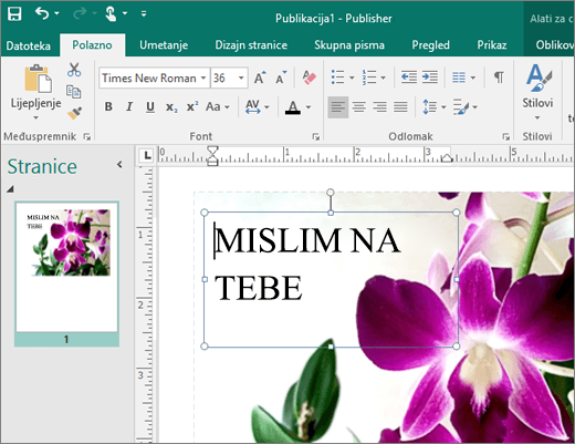Snimka zaslona na kojoj se prikazuje tekstni okvir na stranici datoteke programa Publisher.