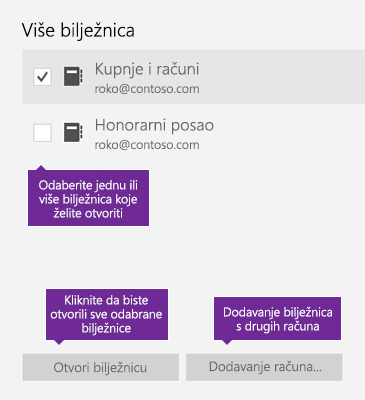 Snimka zaslona s prikazom prozora Više bilježnica u programu OneNote