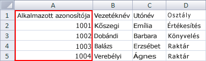 Excel-táblázat az alkalmazottak adataival