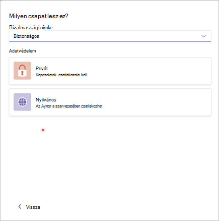 Képernyőkép egy új csapat létrehozására szolgáló ablakról a Microsoft Teamsben, amelyen a bizalmasság "Biztonságos" és "Privát" vagy "Nyilvános" értékre van állítva.