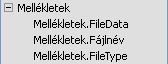 Mellékletmező a Mezőlista ablaktáblában