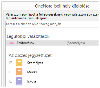 Képernyőkép a OneNote-ablakról, ahol megadhatja, melyik lapra kerüljenek a Skype-jegyzetek.