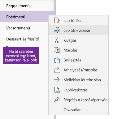 Képernyőkép egy OneNote-lap átnevezéséről