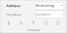 Adattípusmezőt megjelenítő képernyőrészlet