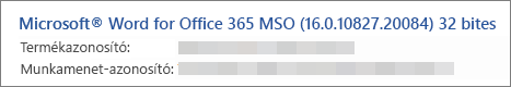 Megmutatja a Word verziót, a build-et és a bites verziót
