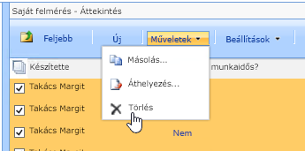 Kattintson a Műveletek gomb menüjében a Törlés parancsra a kijelölt adatok törléséhez