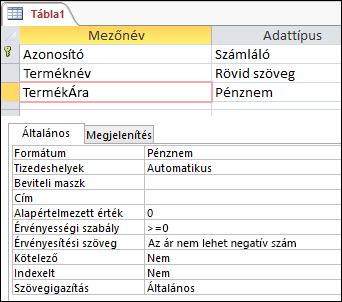 Mezőérvényesítési szabály az Access Táblatervezőjében