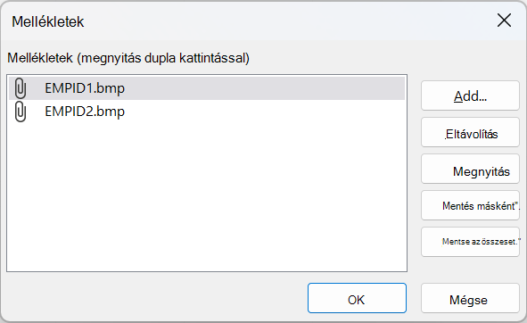 Mellékletek párbeszédpanel az Accessben két BMP-fájlt jelenít meg.