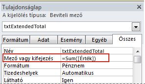 Egy kifejezés a Mező vagy kifejezés tulajdonságban