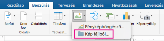 A Beszúrás lapon kiemelt Kép fájlból parancs.