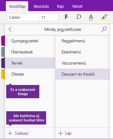 A OneNote Szakasz hozzáadása gombjának képe