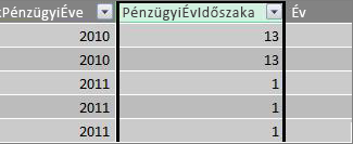 A Pénzügyi év időszaka oszlop