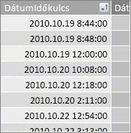 A DátumIdőkulcs oszlop