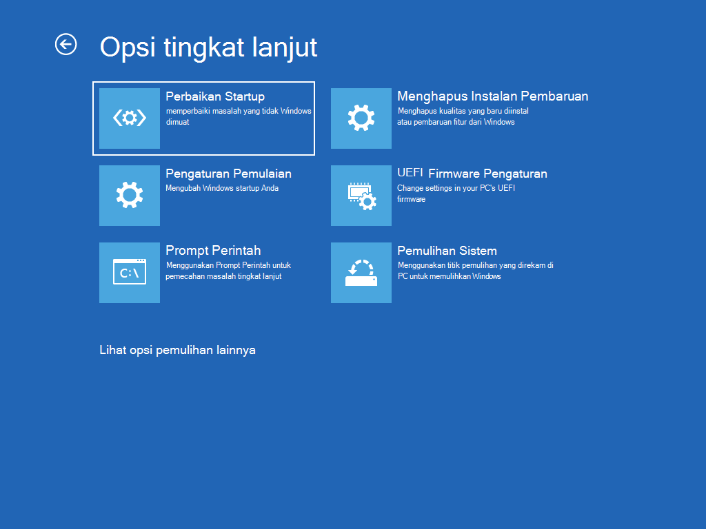 Memperlihatkan layar "Opsi tingkat lanjut" dengan "Perbaikan mulai" dipilih.