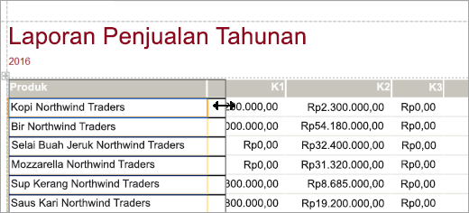 Cuplikan layar Laporan Penjualan Tahunan Produk