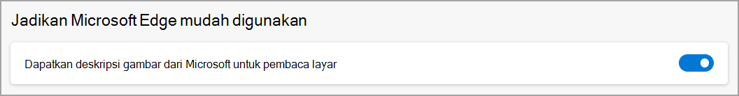 Pengaturan menu Microsoft Edge untuk Dapatkan deskripsi gambar.