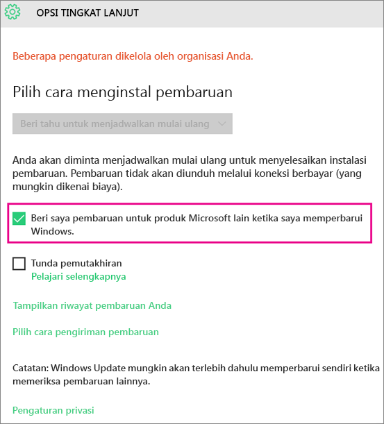 Opsi Lanjutan Pembaruan Windows