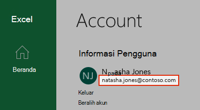 Cuplikan layar memperlihatkan akun pengguna di Excel.